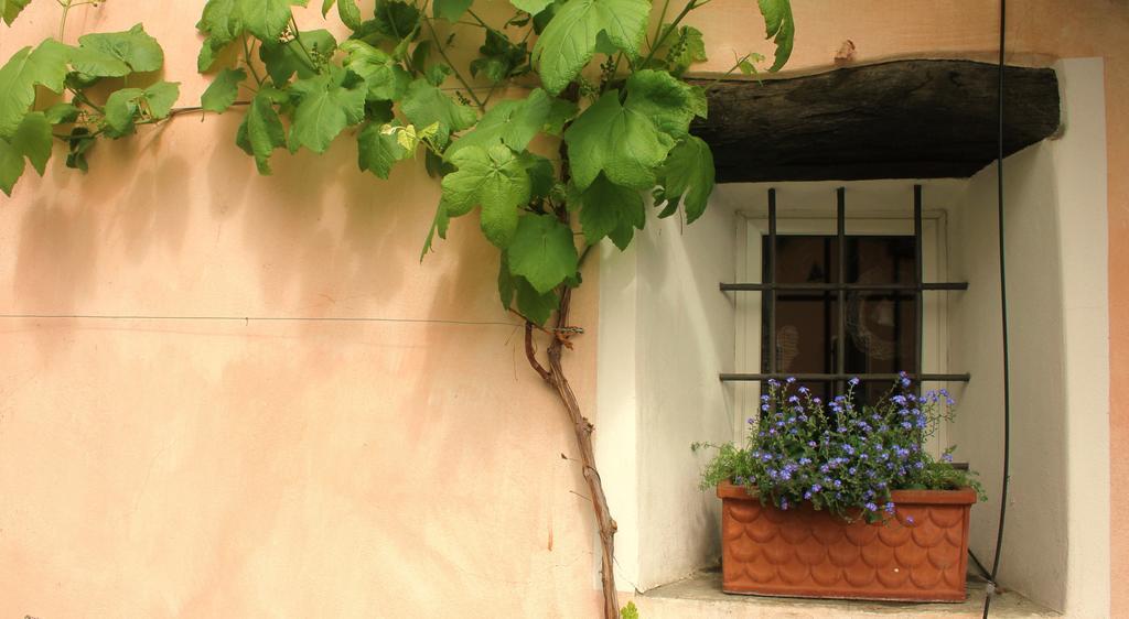 Casa Don Bosco Villa โลการ์โน ห้อง รูปภาพ
